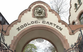 Elefant, Tiger & Co.