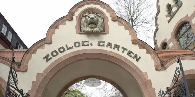 12:00: Elefant, Tiger & Co. | NDR Fernsehen | 11/24 2025