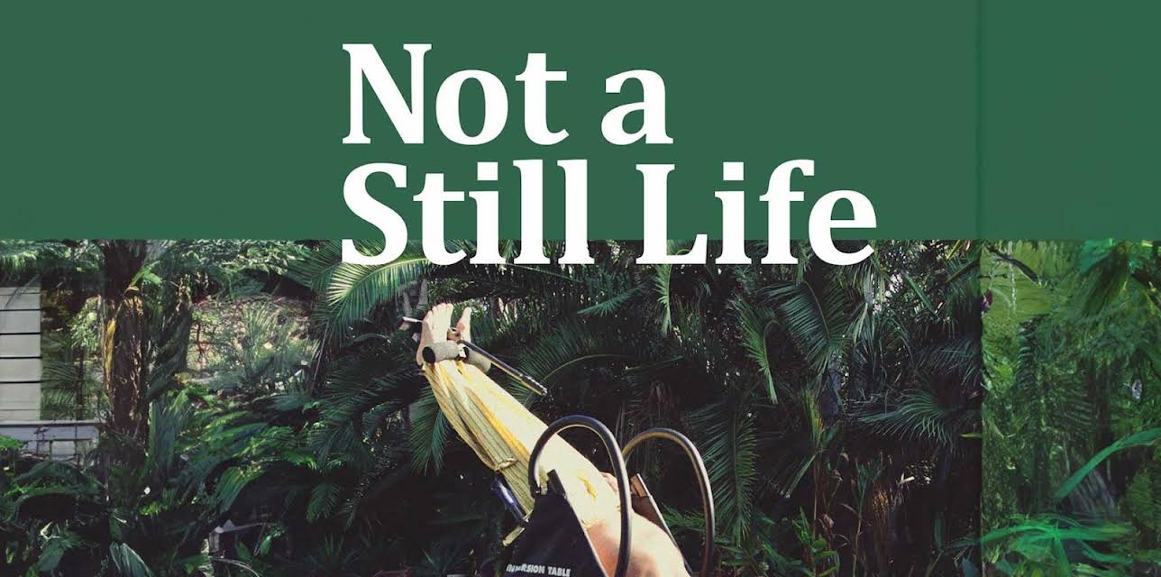 Not a Still Life (2016)