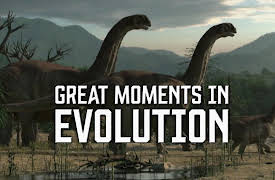 Great Moments in Evolution: The Miracle of Life