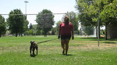 15:00: Pit Bulls & Parolees (S9 E5) (S9) | Animal Planet | 5/26 2026