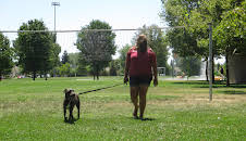 Pit Bulls & Parolees (S9 E5)