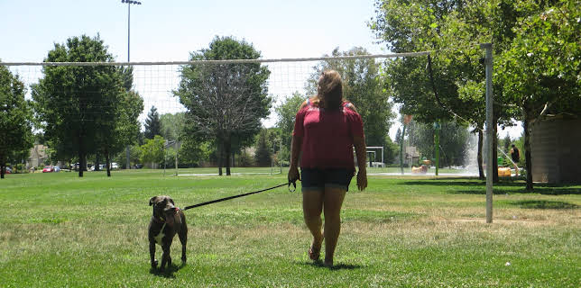 15:00: Pit Bulls & Parolees (S9 E5) (S9) | Animal Planet | 1/20 2026