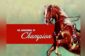 Adventures of Champion: Salted Ground