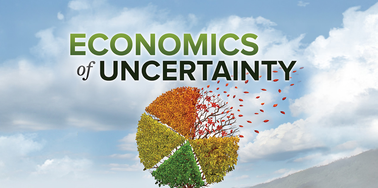 The Economics of Uncertainty