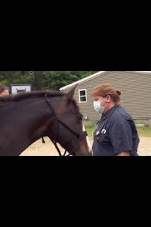 22:45: El increíble doctor Pol: Una yegua en una misión imposible | Nat Geo Wild | 1/9 2026