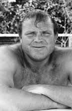 Dan Blocker as 
