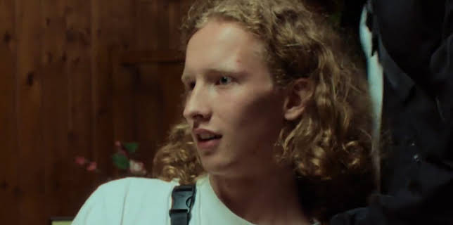 Melodies of Barking Dogs