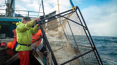 1:00 AM: Deadliest Catch (S18) | Discovery Channel | 9/3 2026