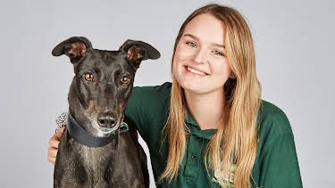 6:50 PM: The Dog House | More 4 | 10/1 2026