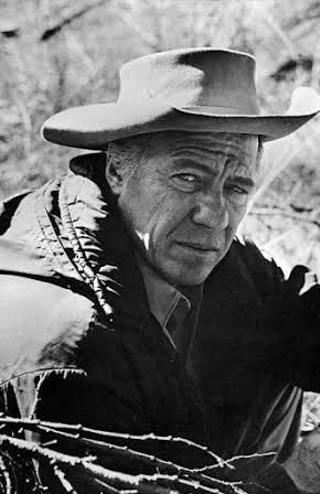 Robert Bray as Maj. Comstock 
  
  
  (as Bob Bray)
