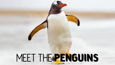 01:30: Meet The Penguins (S1 E4) (S1) | Animal Planet | 5/3 2026