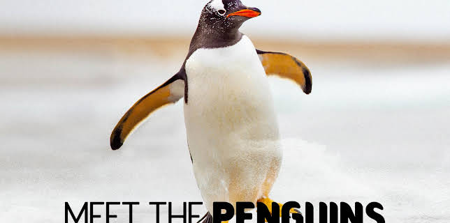 01:53: Meet The Penguins (S1 E1) (S1) | Animal Planet | 12/14 2025