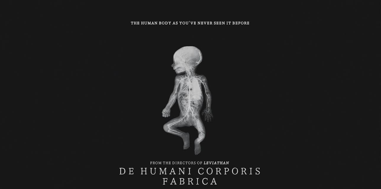 De Humani Corporis Fabrica (2023)