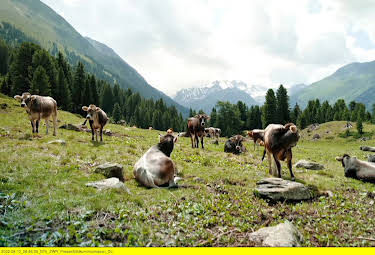 05:00: Faszination Österreich: Tirol | 3SAT | 10/15 2026