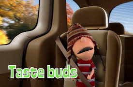 Michael's Favorite Things: Season 1: Taste Buds