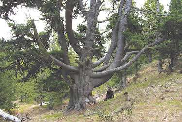 05:45: Giganten | 3SAT | 5/4 2026