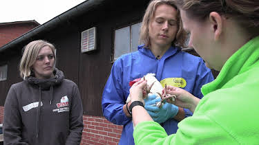 17:55: hundkatzemaus | VOX | 3/28 2026