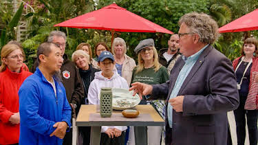 8:00 PM: Antiques Roadshow (S45) | BBC One | 7/26 2026