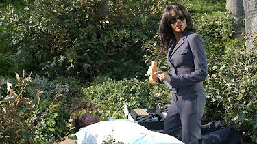 02:20: CSI: Miami | RTL | 7/30 2026