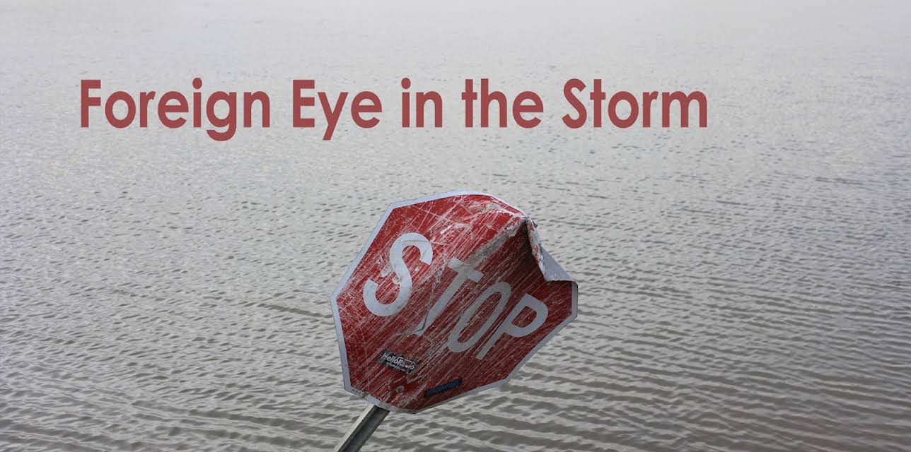 Foreign Eye in the Storm (2015)