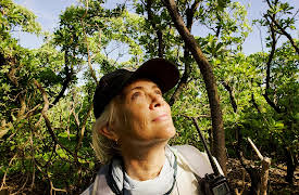 The Last Unknown: The Last Unknown: Palmyra Atoll