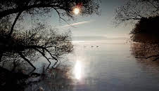 Expeditionen ins Tierreich