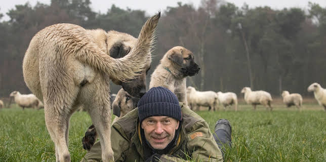 17:05: Faszination Erde - mit Dirk Steffens | ZDFneo | 2/14 2026