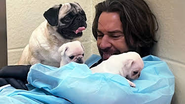 2:00 PM: Pete Wicks: For Dogs' Sake (S3 E1) (S3) | W | 4/6 2026