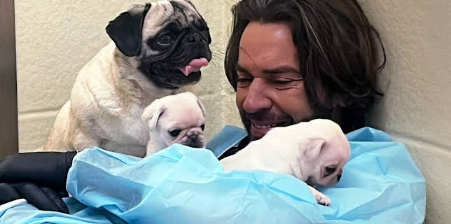 8:00 PM: Pete Wicks: For Dogs' Sake (S3 E1) (S3) | W | 1/8 2026