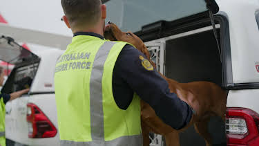 16:00: Grensevakten (S16 E13) (S16) | MAX | 4/3 2026