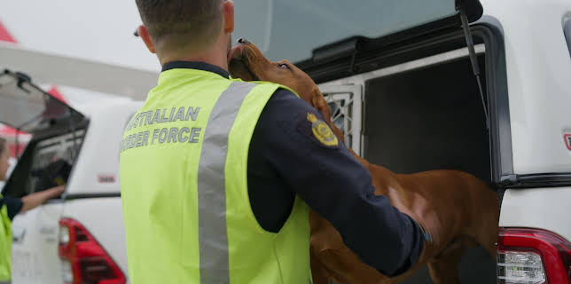 17:35: Grensevakten (S16 E13) (S16) | MAX | 1/23 2026