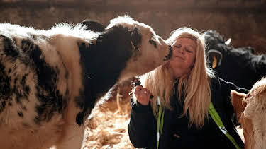 07:35: Vom Glück, Kühe zu retten | MDR Fernsehen | 4/26 2026
