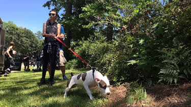 16:00: Pit Bulls & Parolees (S8 E5) (S8) | Animal Planet | 12/31 2025