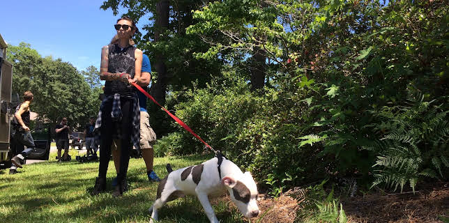 15:00: Pit Bulls & Parolees (S8 E5) (S8) | Animal Planet | 12/31 2025