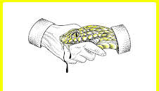 Lüge und Wahrheit – Die Macht der Information