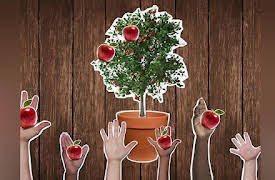 The Juicebox Jukebox: Thankful