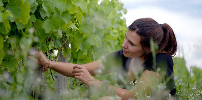 21:00: Lust aufs Land - Bayerische Hofgeschichten | BR Fernsehen | 12/1 2025