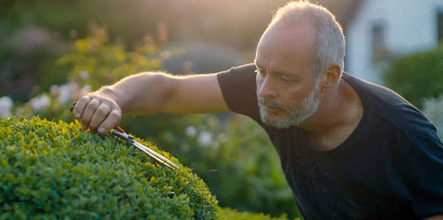 23:30: Der Gärtner, der Buddhist und der Spion | Arte | 3/24 2026