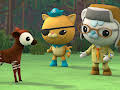 Octonauts: Above & Beyond
