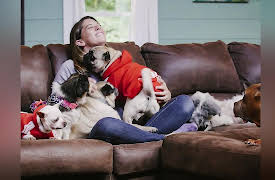 Road to Puppy Bowl: Vintage Pet Rescue