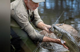 Jeremy Wade: Dark Waters Season 1: Return of the Outback Beast