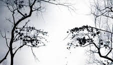 Premonition