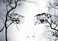 Premonition