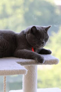 07:30: Animales: amigos increíbles: Nacidos para ser diferentes | Aragón TV | 3/28 2026