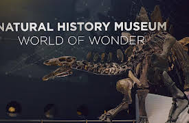 Natural History Museum: World of Wonder: Episode 1