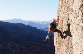 The Wild Ones: Leopards