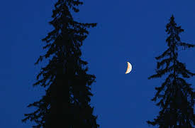 Boogeymen: Monsters Among Us: Tatzelwurm