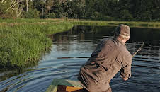 Giganten unter Wasser - Riesenfischen auf der Spur