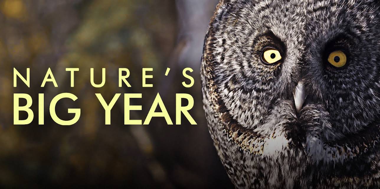 Nature's Big Year (2021)